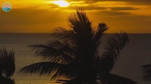 SHAZAM Top 50🏖️Лучшая Музыка 2025🏖️Зарубежные песни Хиты🏖️ #58