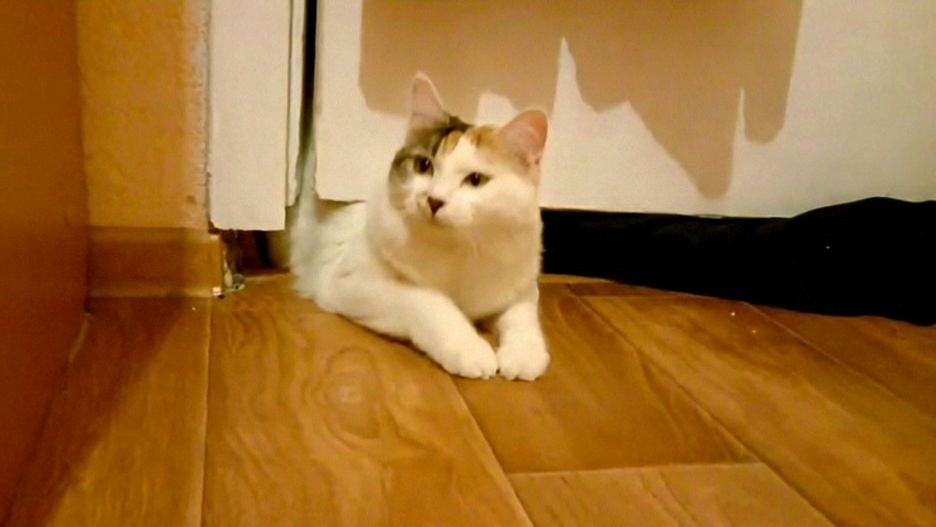 Ты что, застрял?!