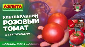 УЛЬТРАРАННИЙ РОЗОВЫЙ ТОМАТ - РОЗОВЫЙ ГРАНАТ F1. Томаты в светокультуре!