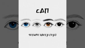 Четыре цвета глаз - СДП 1 час