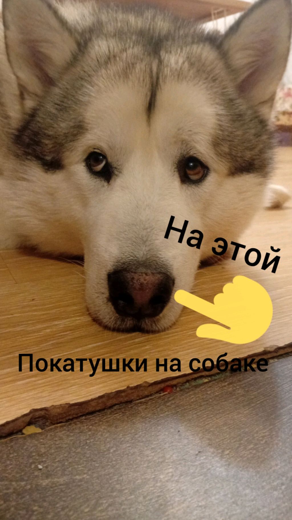 розыгрыш номер 2. 0