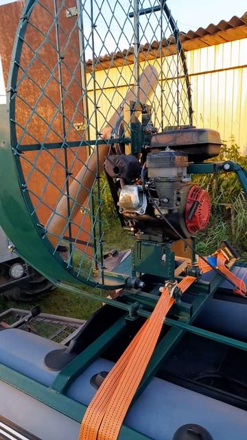 1000025836.mp4 смотреть онлайн