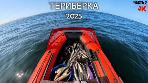 ПОЛНАЯ ЛОДКА РЫБЫ. Рыбалка на Баренцевом море 2025. ТЕРИБЕРКА часть 2