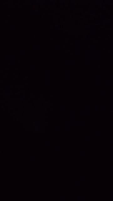 смотрели на луну.