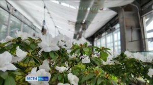 Вести-Томск, выпуск от 02.02.2026 09:30