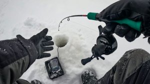 Я ДУМАЛ НЕ ПОЙМАЮ, ПОКА НЕ ПОСТАВИЛ ЕГО. Рыбалка на судака в ГЛУХОЗИМЬЕ зимой в 2026