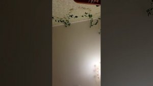 Просто приятный стрим