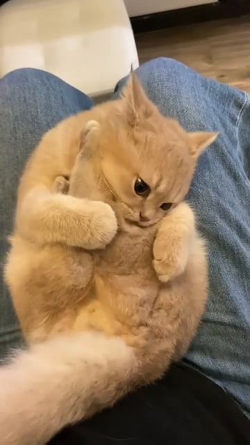 Автор видео: 7mmmmmmm319