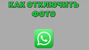 Как отключить фото в Ватсапе