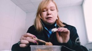 Рабочий Мукбанг🥗🍽️