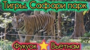 Тигры. Сафари Парк. Фукуок. Вьетнам.