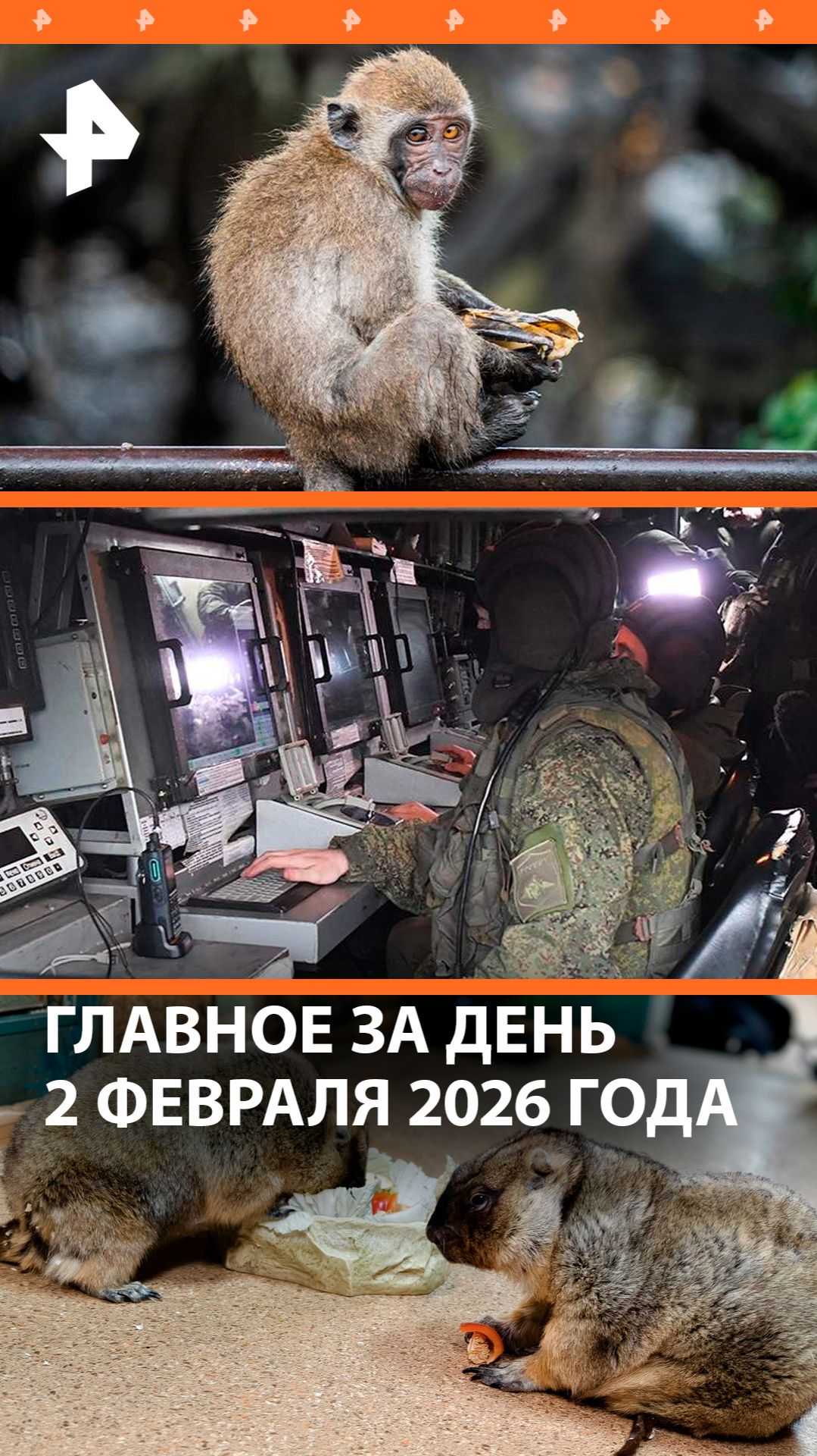 Оспа обезьян в Подмосковье/ВСУ лишились HIMARS /Прогноз от сурков / ДАЙДЖЕСТ РЕН ТВ: Главное за день смотреть онлайн