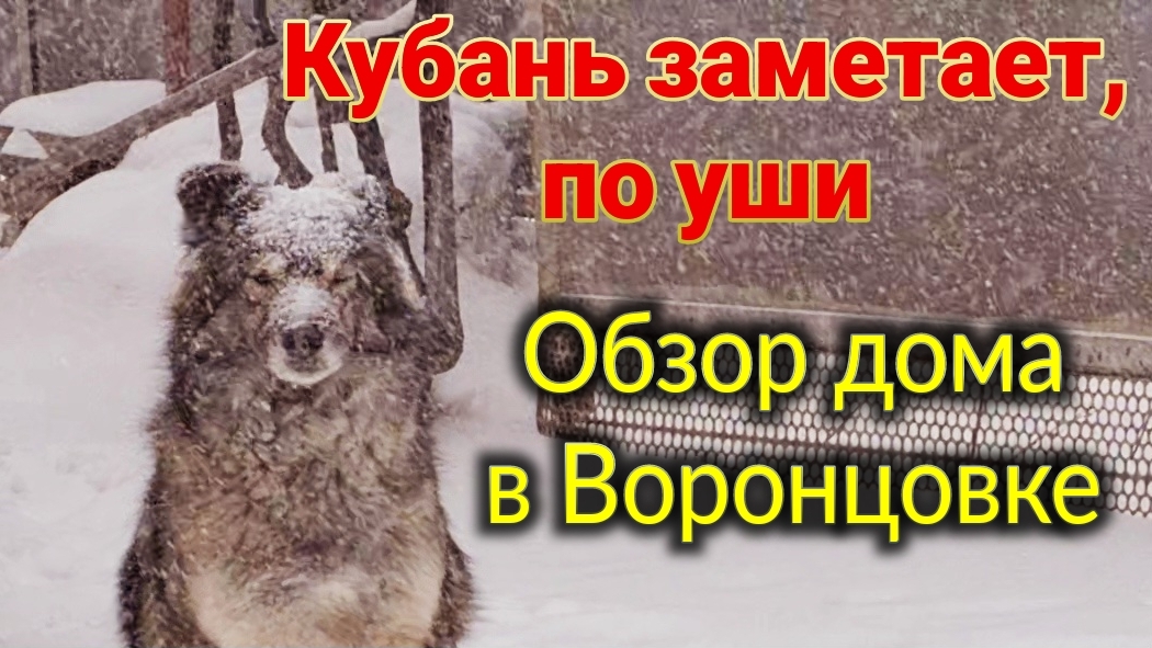 Ейск🌹Кубань заметает, по уши. Обзор дома в Воронцовке. Реставрирую стул. И многое другое... смотреть онлайн