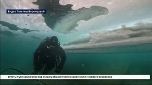 Подводными кадрами трещины на Байкале в Листвянке поделились иркутские дайверы