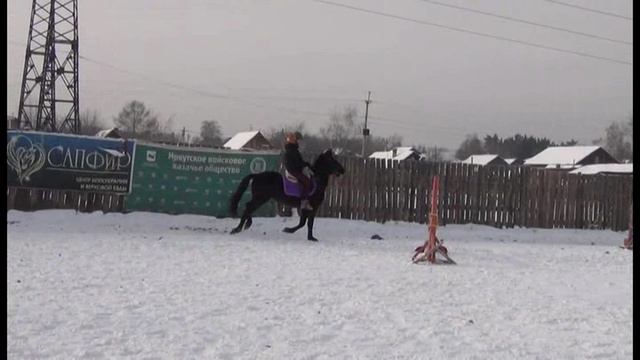 Регина 31-01-26