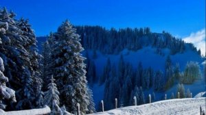 Истории из жизни / Жизненные истории / Слушать / Аудио рассказы  / Онлайн