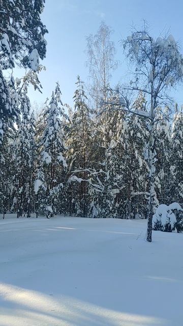 27 Января 2026 смотреть онлайн