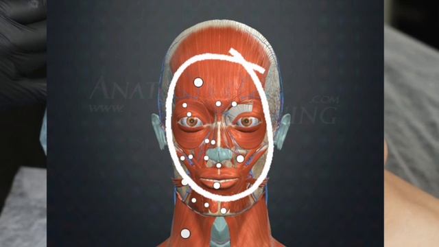 Иллюзия молодости: Как Ботокс ускоряет старение лица 