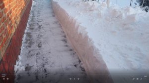 Снегопад прекратился. Растения в избушке. Промораживаю грунт.