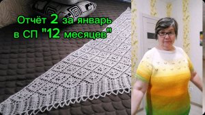 Отчёт 2 в СП "12 месяцев" за январь. Связала шаль и футболку себе спицами.