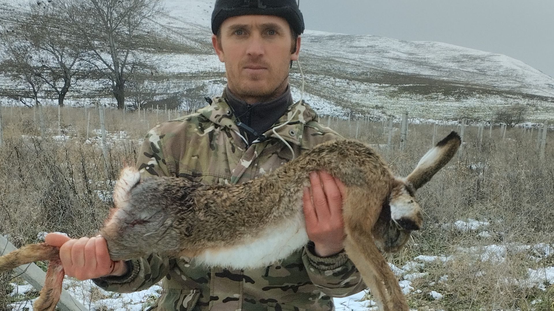 охота на зайца,как приготовить зайца смотреть онлайн