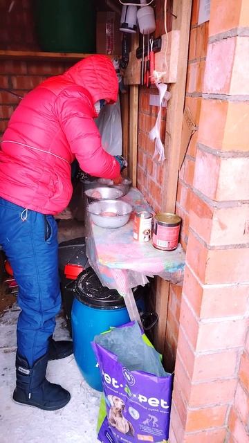 "Кушать. Холодно"  ❥ Приют в Малинках #приютдляживотных