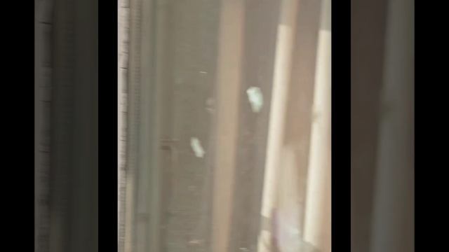 Сдается 2х-комнатная квартира в Москве. Южное Бутово. 11 этаж. 2 изолированные комнаты смотреть онлайн