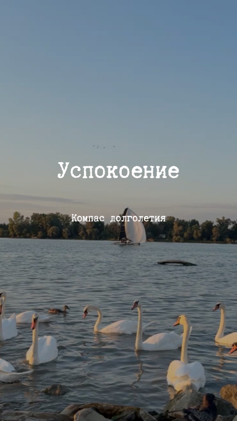 Дыхательная практика Абсолютное спокойствие