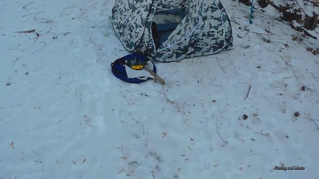 Налим на живца зимой. 1 сезон. 7 серия. (Налим на СТУК в мороз) смотреть онлайн