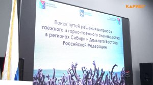 В Магадане обсудили будущее таёжного оленеводства