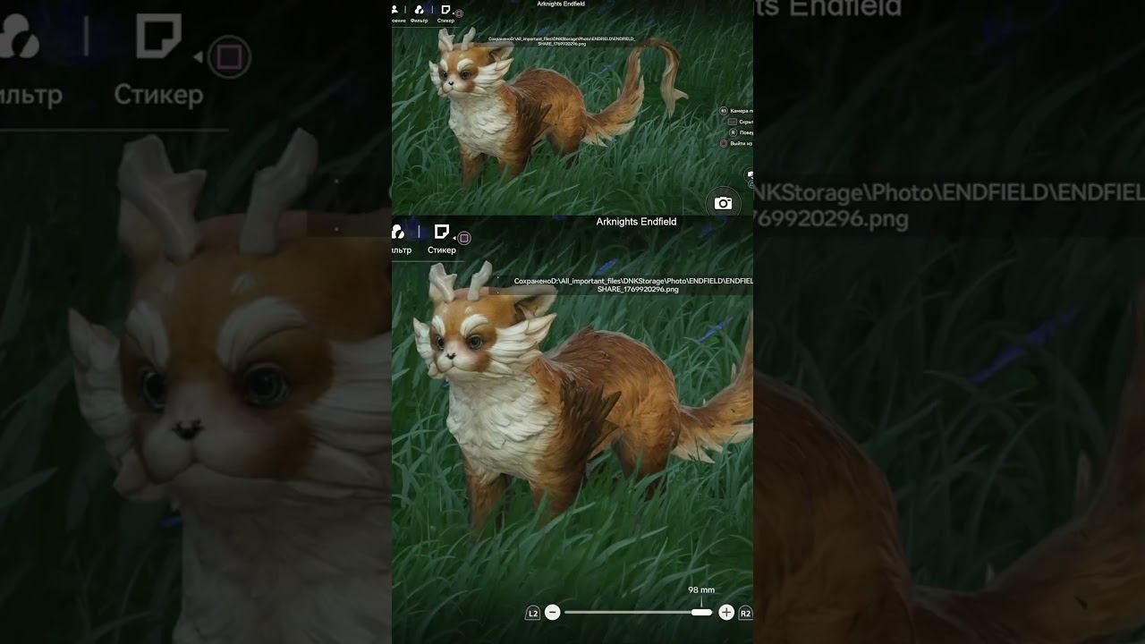 Фотосессия зверьков | #feivvar с помощью #Twitch