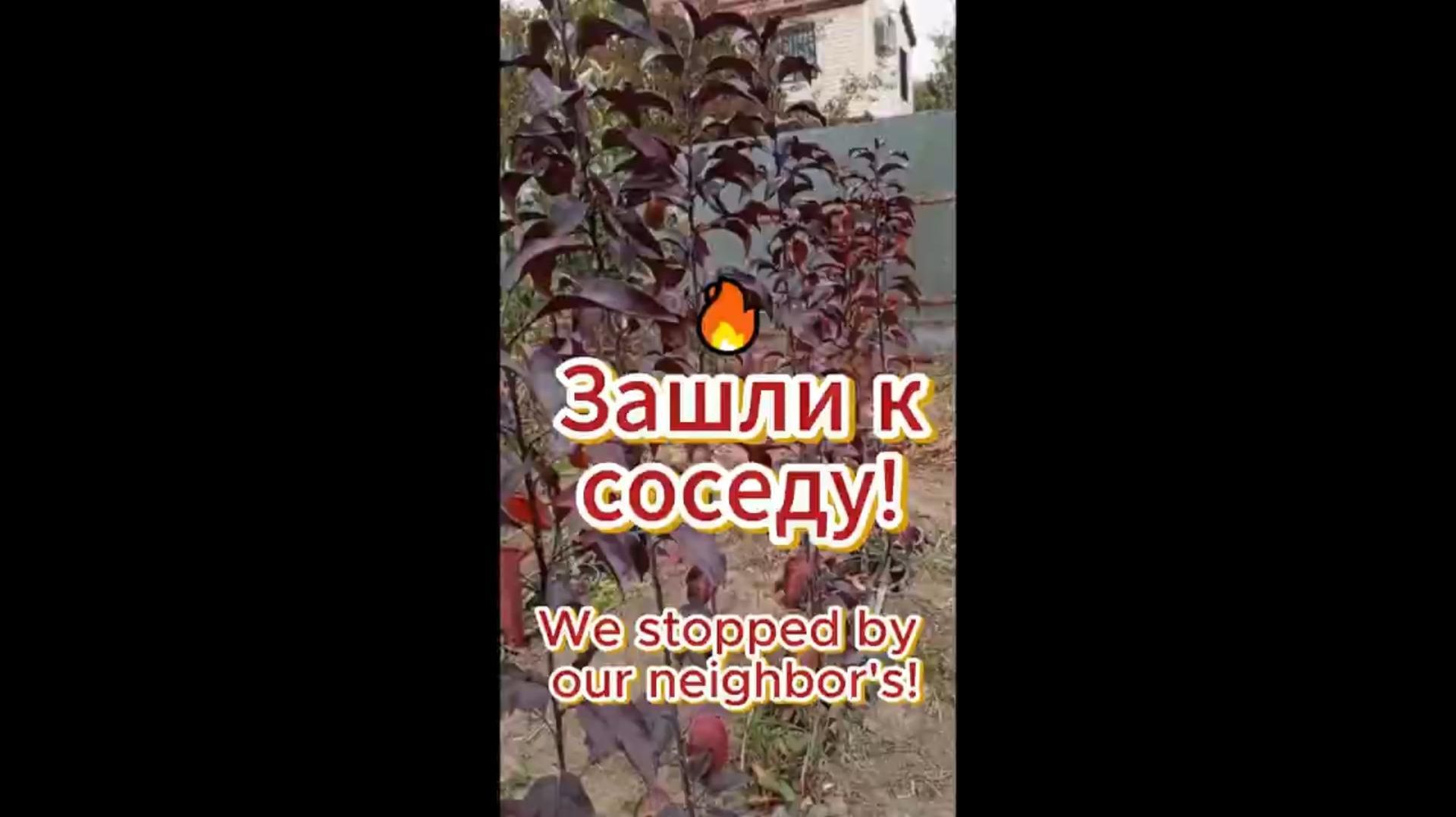 🔥 Зашли к соседу!