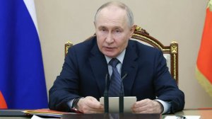 Путин отметил важнейшую роль химической промышленности в экономике РФ