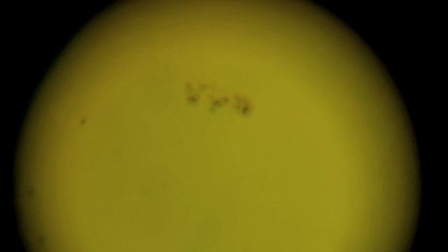 солнце 02.02.26