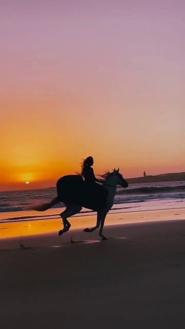 ВЕРХОМ НА ЛОШАДИ-ЧУВСТВО СВОБОДЫ И ГРАНДИОЗНОСТИ. смотреть онлайн