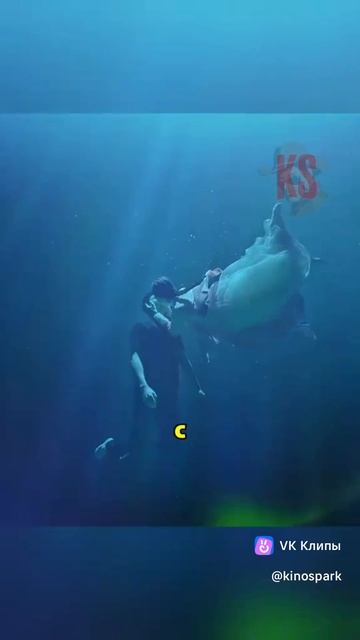 Фильмы смотреть онлайн