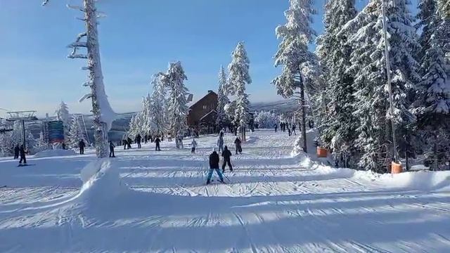 Romme Alpin. Sweden. Горнолыжный курорт.