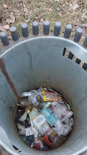 №1089 Комсомольский проспект. 20 ноября 2025 г., 16:15:36 VID_20251120_161526699 №1089 Комсомольский проспект. 20 ноября 2025 г., 16:15:36 VID_20251120_161526699