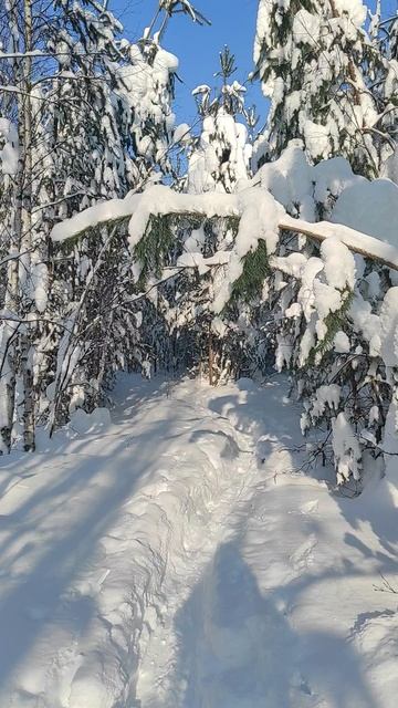 2 Февраля 2026 смотреть онлайн