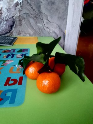 играем в игры чек🙂