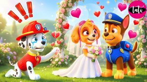 Щенячий патруль и Маршалл. Залипательное видео. Мультфильм для детей и малышей. Анимация 166