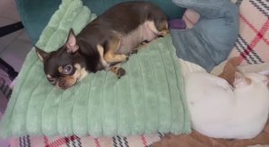 Доброго всем вечера и самой спокойной ночи.