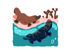 Как не спать всю ночь без ведома родителей