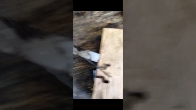 14. Ремонт наконечника тросика газа любой бензотехники смотреть онлайн