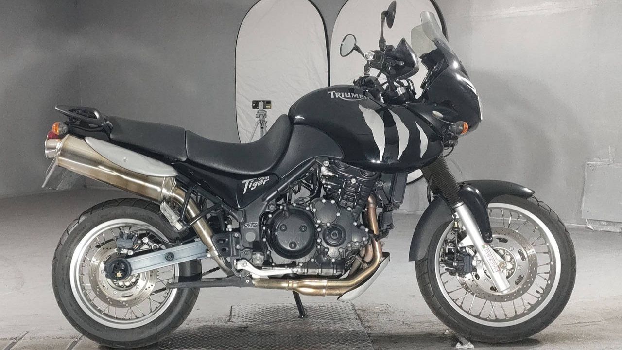Triumph TIGER 955I - SMTTG720WT1137048 смотреть онлайн