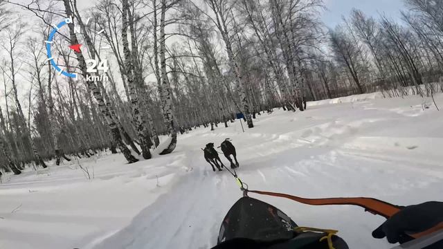 Чемпионат Челябинской области 2026 Чемпионат Челябинской области 2026