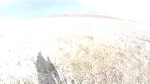 охота на зайца,как приготовить зайца