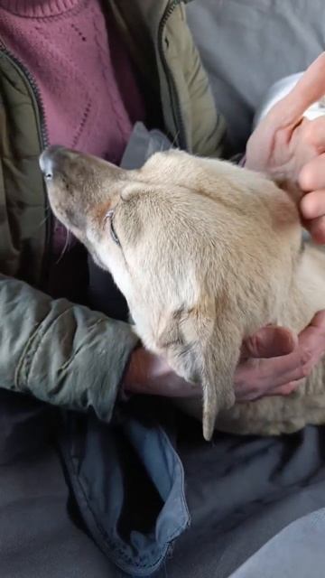 Ровно год назад жизнь Белочки разделилась на «до» и «после». 💔