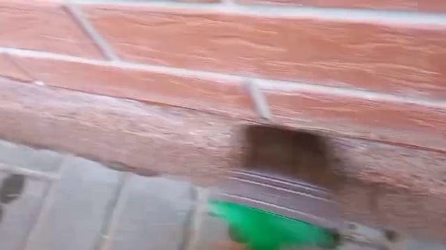 Гидроизоляция мраморной штукатупки .