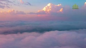 Стихи над миром. Стихотворения Зинаиды Миркиной